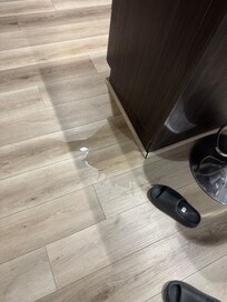 Water from the leaking freezer