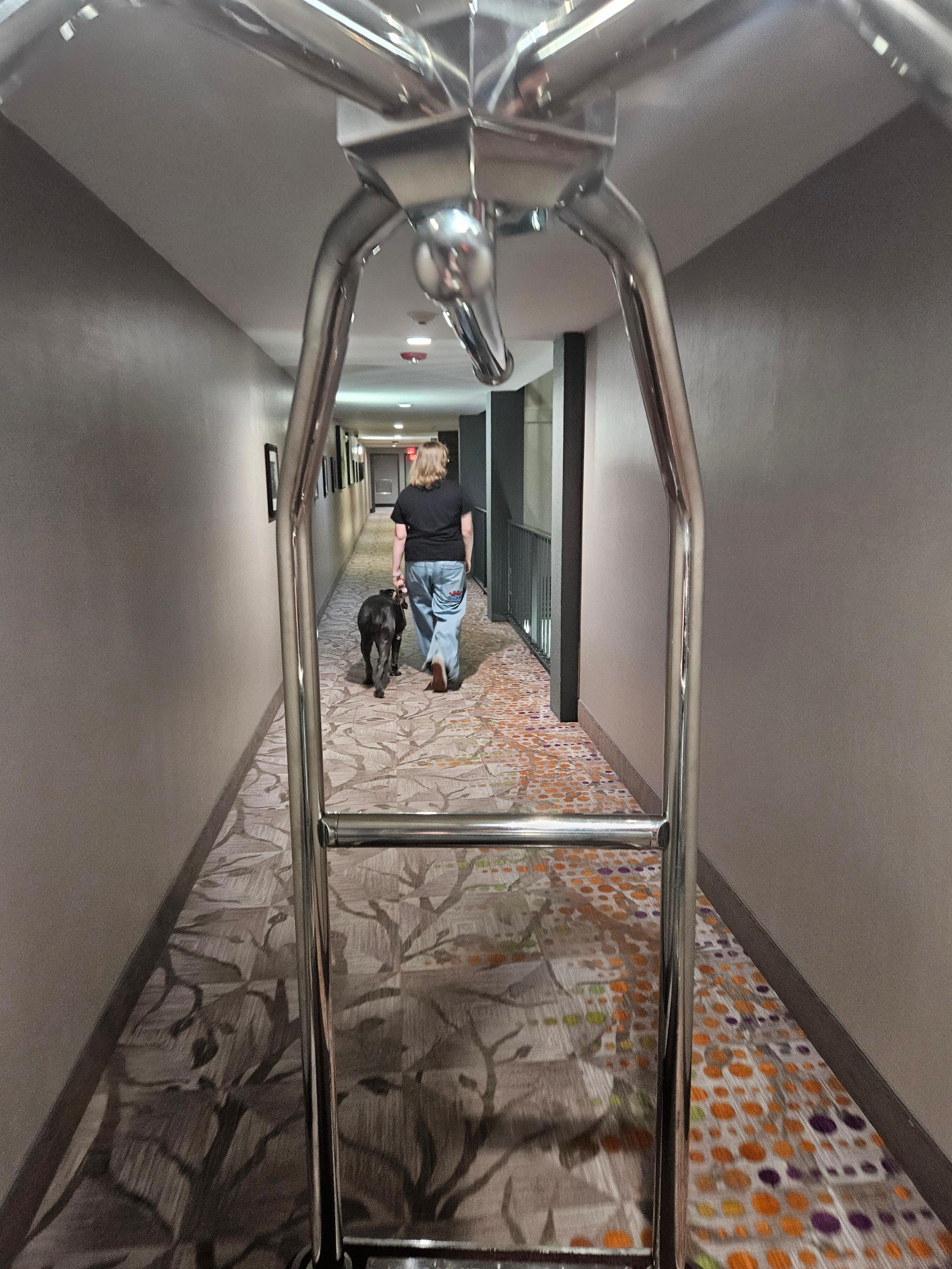 Pet friendly, with no size or breed restrictions.
