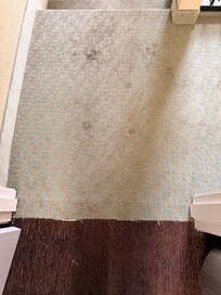 Carpet in bad condition