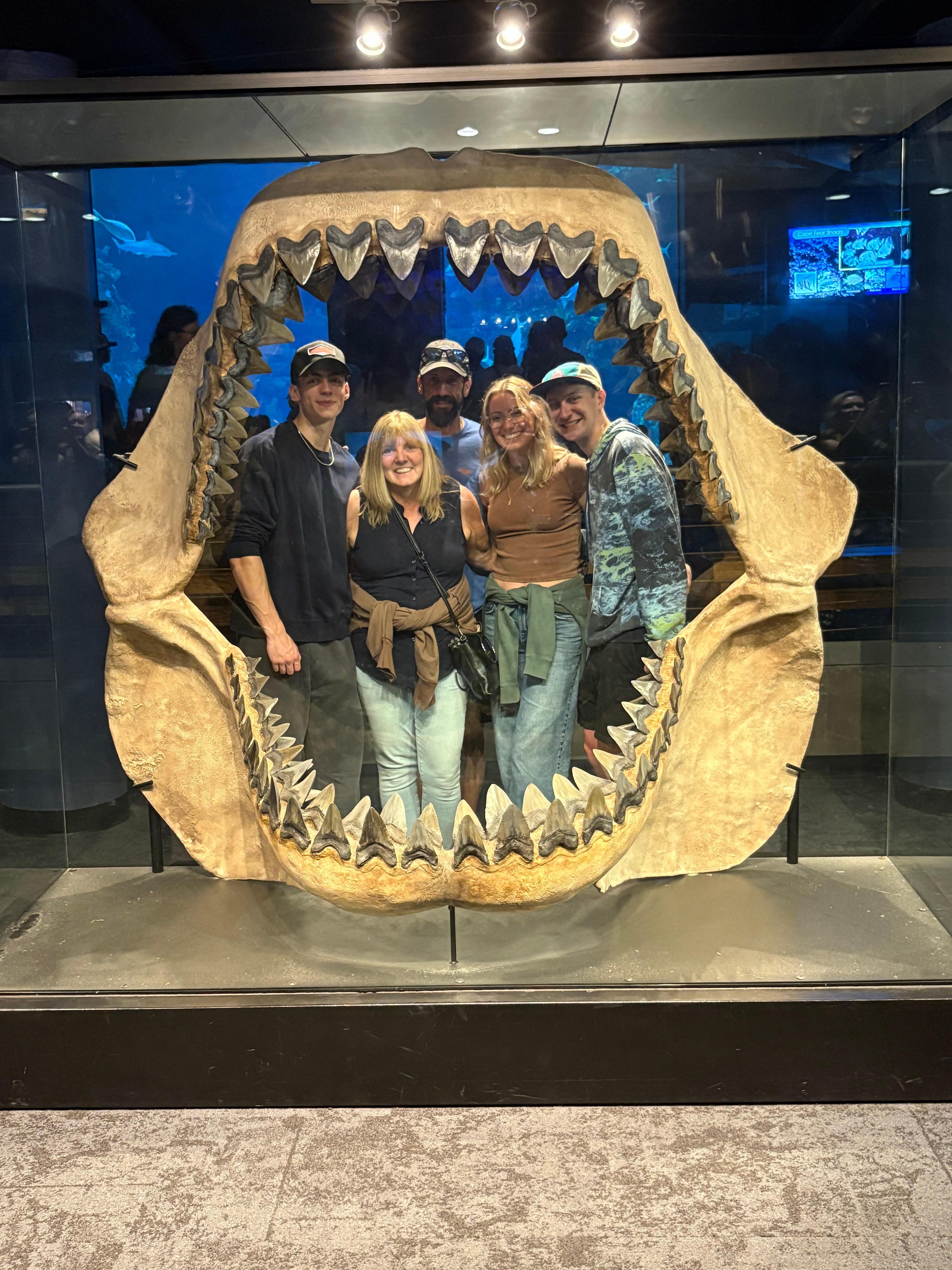 Afternoon at the aquarium. 