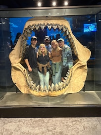 Afternoon at the aquarium.