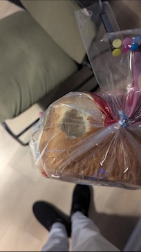 Mice chewed through food bags during the night.