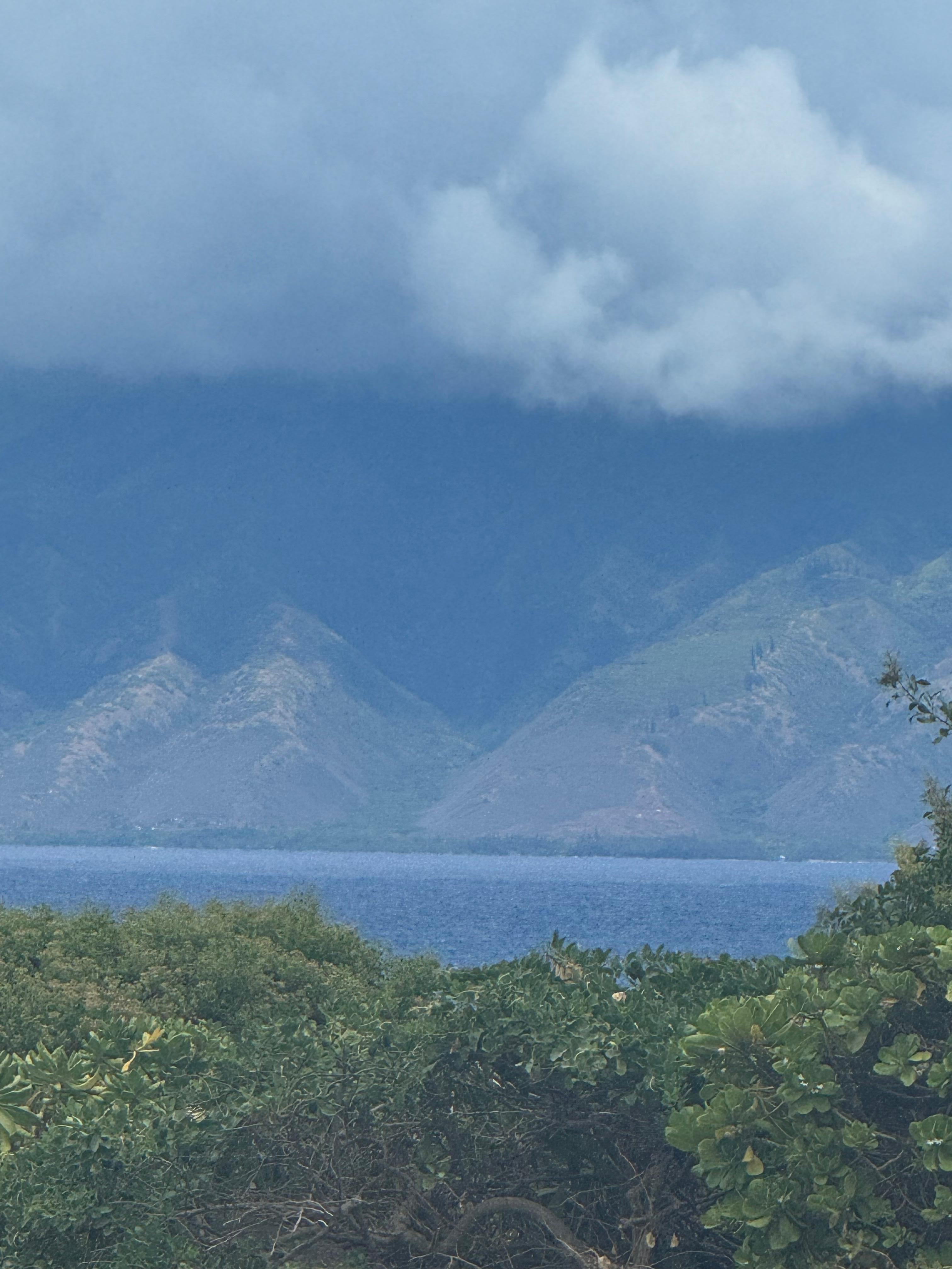 Ocean view out the back. Hard to see for a short person. But the location is so worth it.