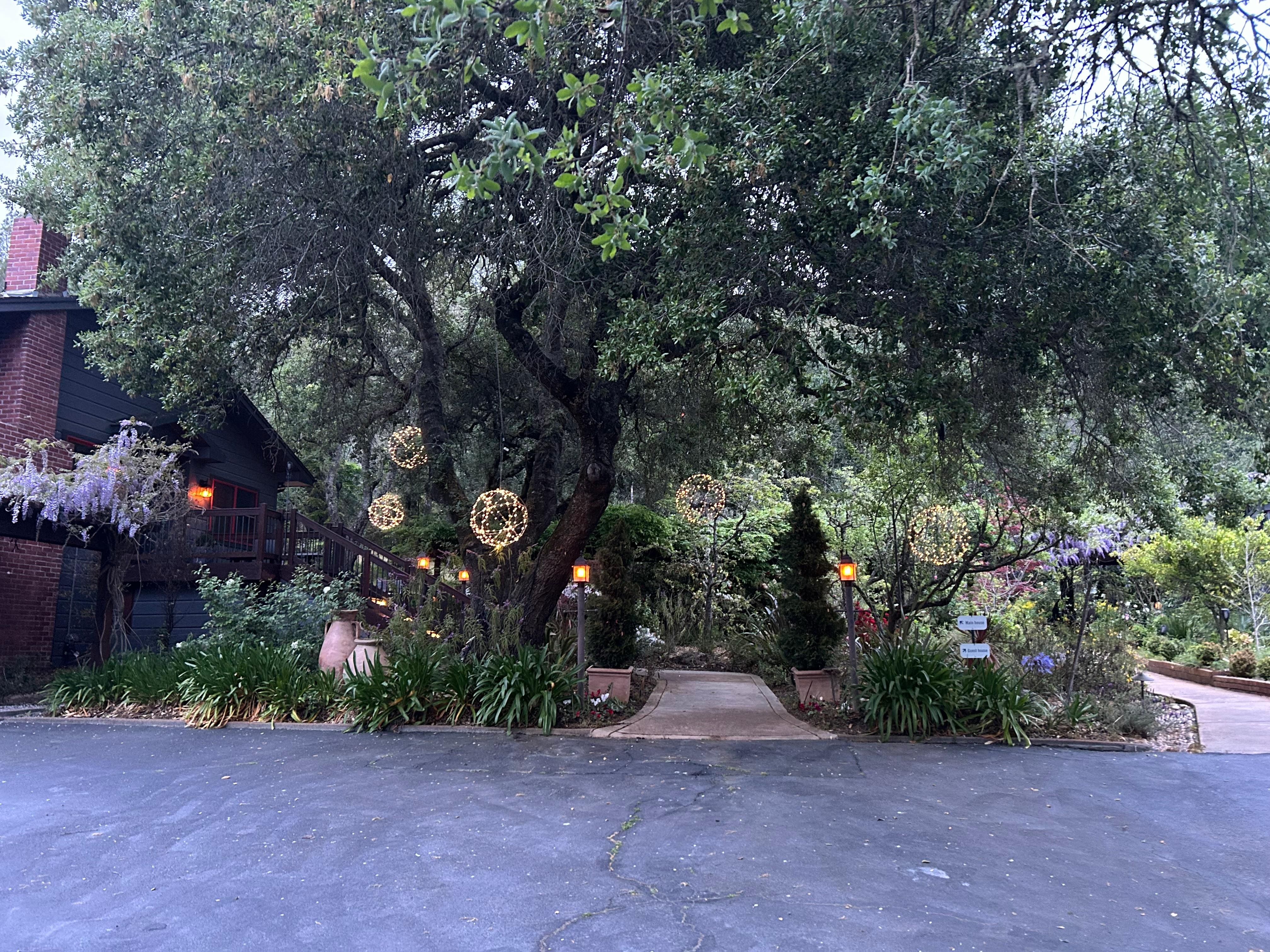 The lights are magical at night!