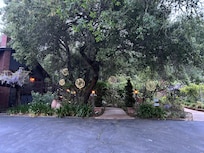 The lights are magical at night!