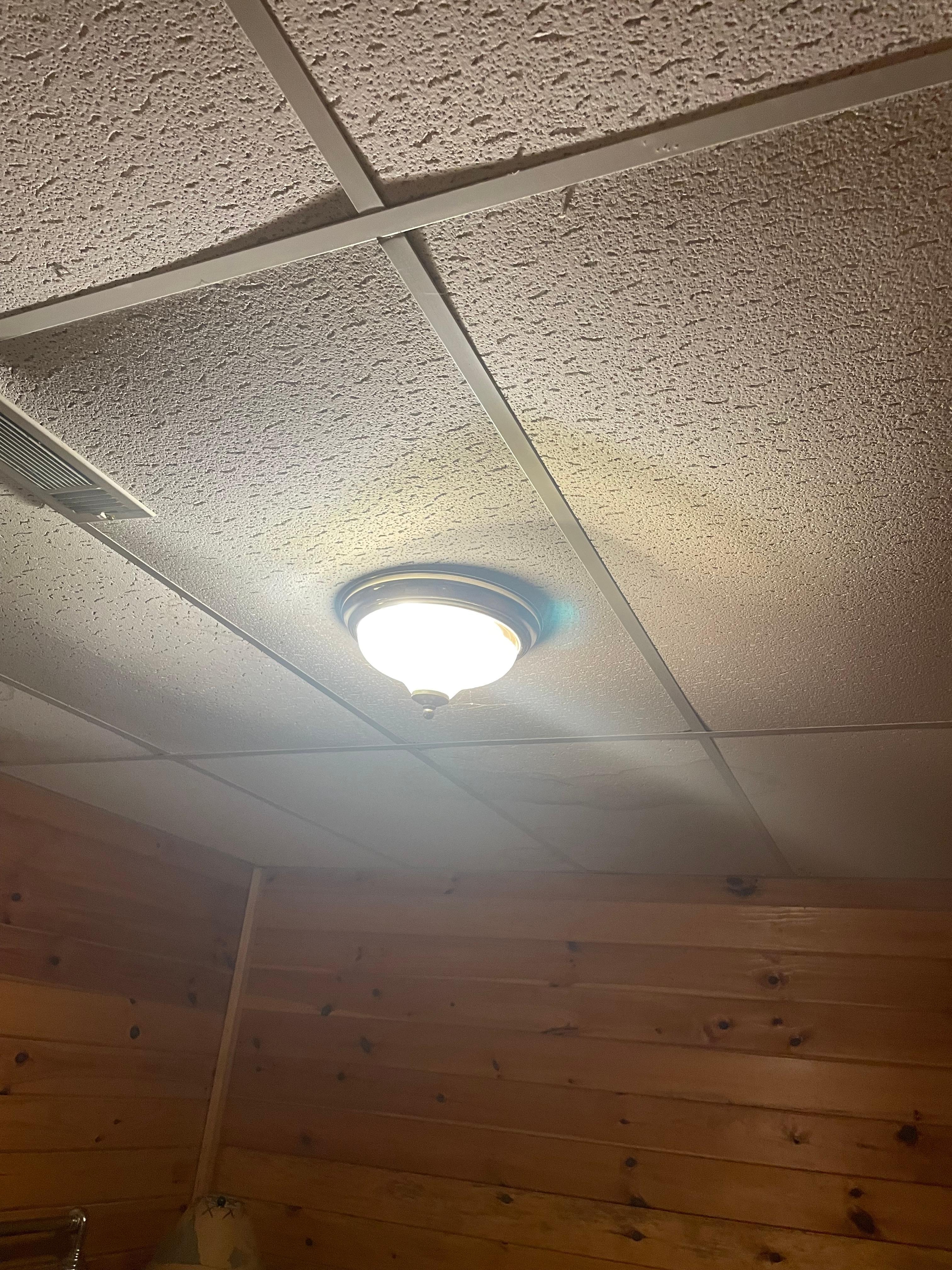 Ceiling above bed in second bedroom