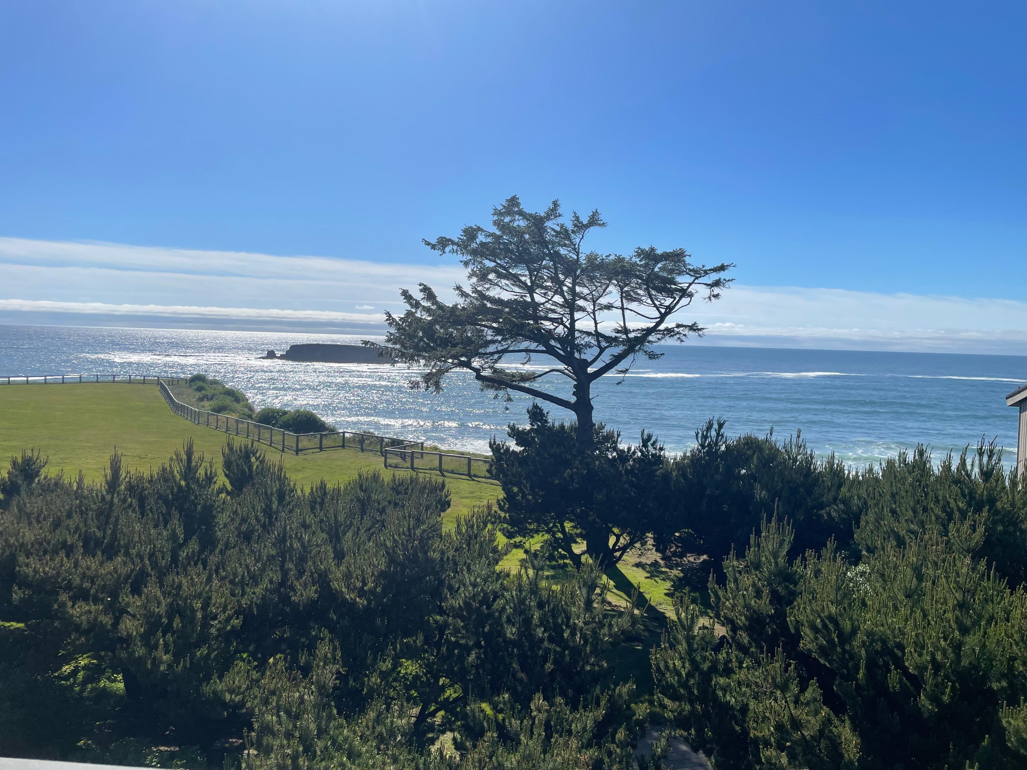 View from the balcony