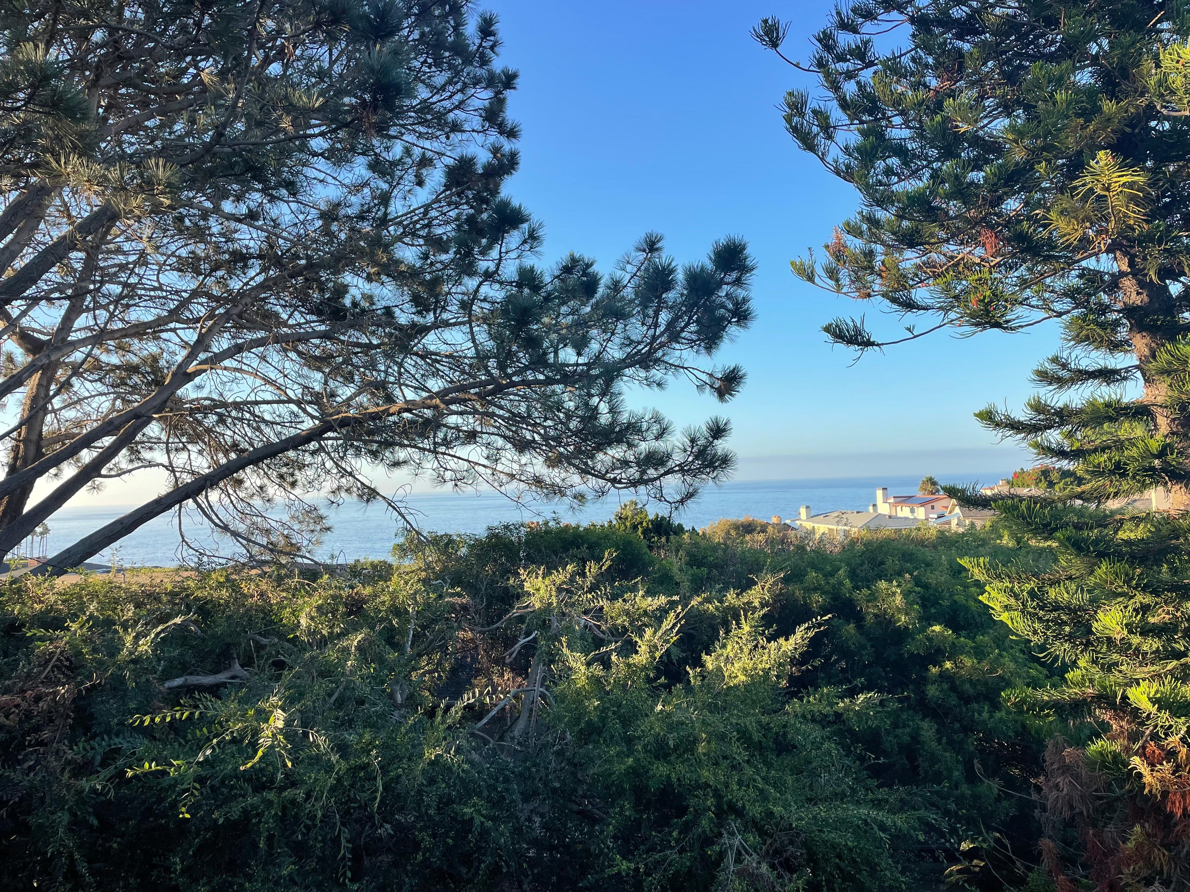 View from outside room doir