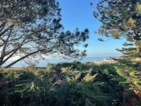 View from outside room doir