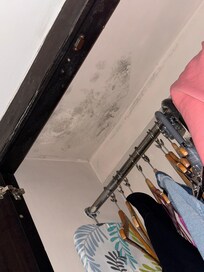 The mold in that place WILL make you sick