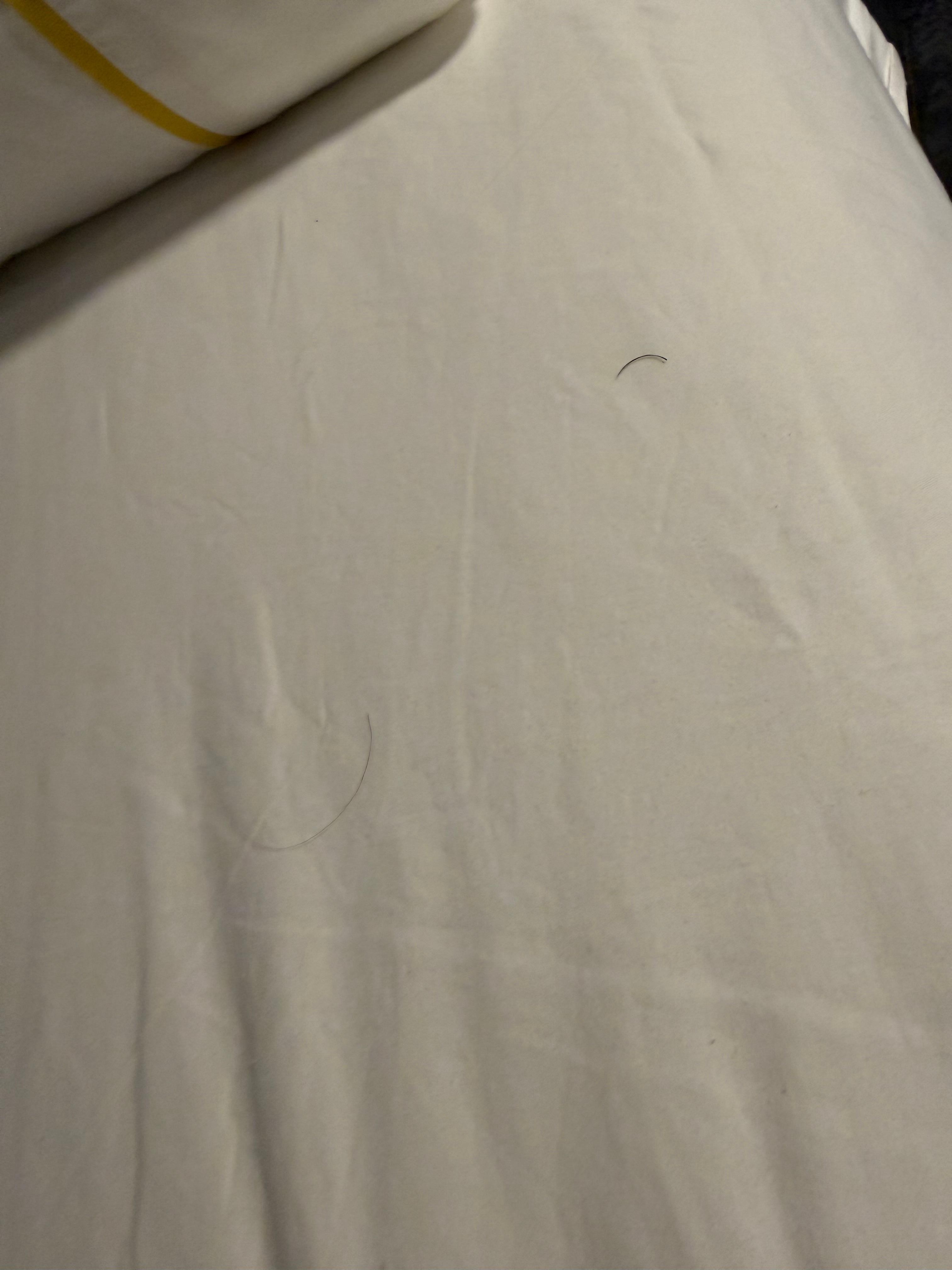 Dirty sheets that were “cleaned”