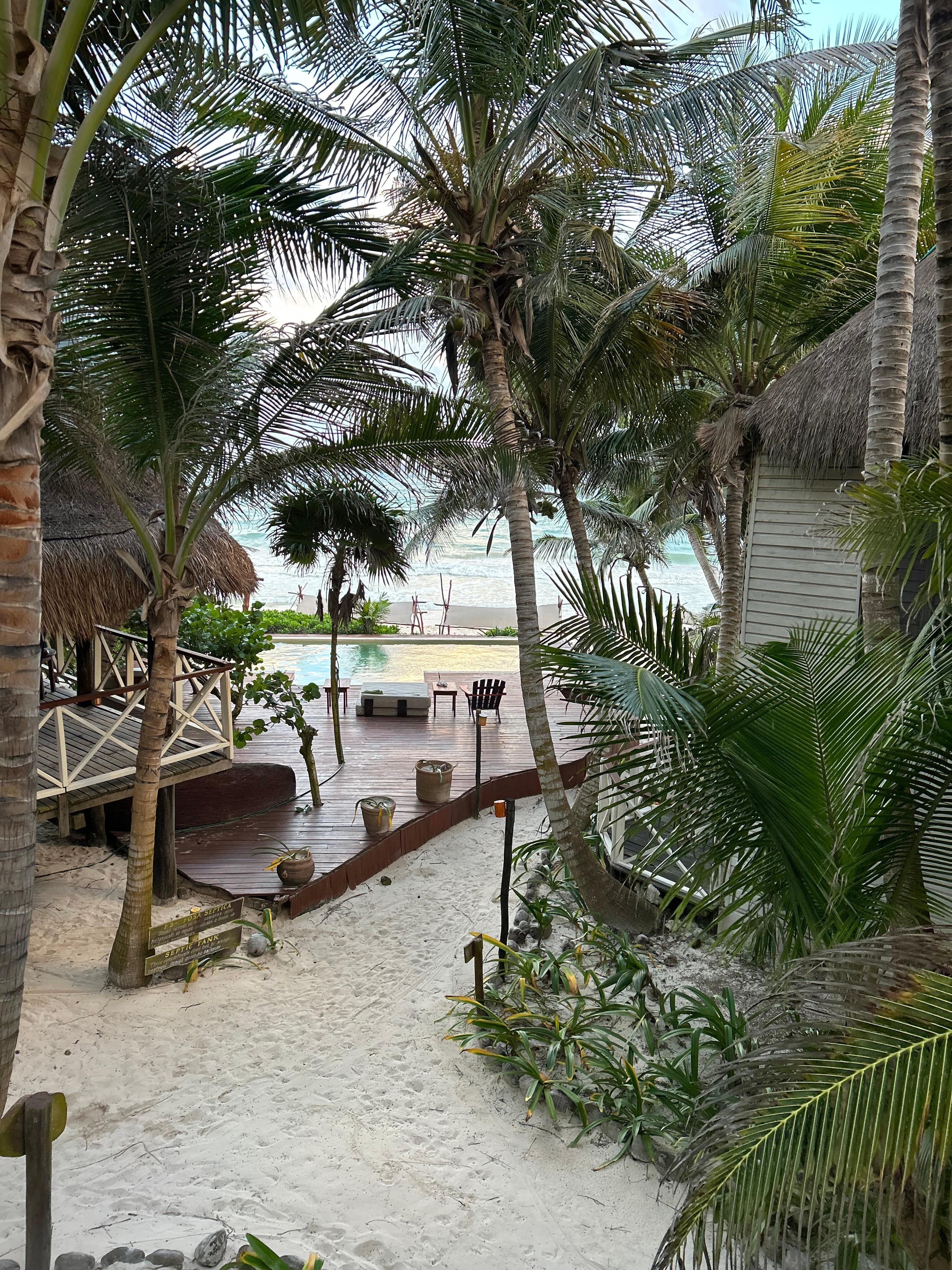 Utsikt från vårt rum (nr 6) mot stranden