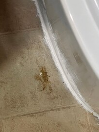 Stain to the left of the toilet.