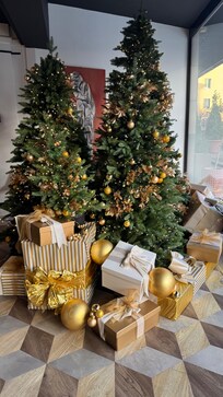 Hermosa la recepción y muy amables