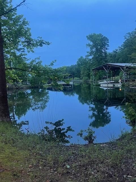water's edge