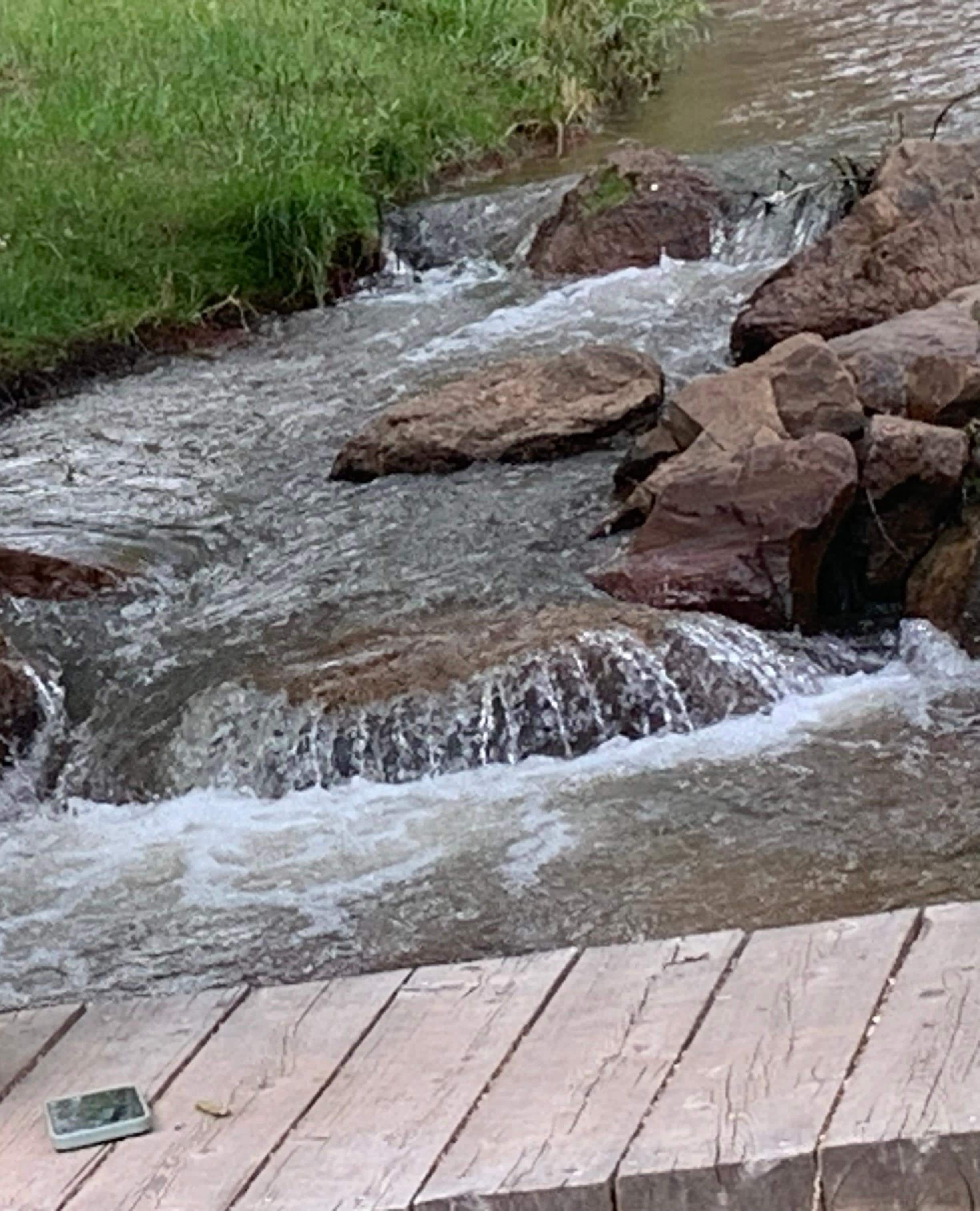 Stream out back of cabin