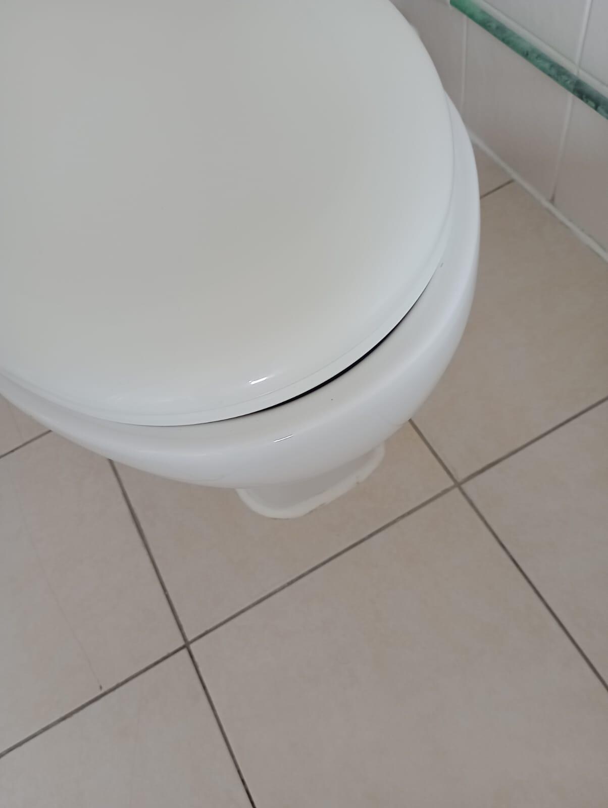 Toilet seat