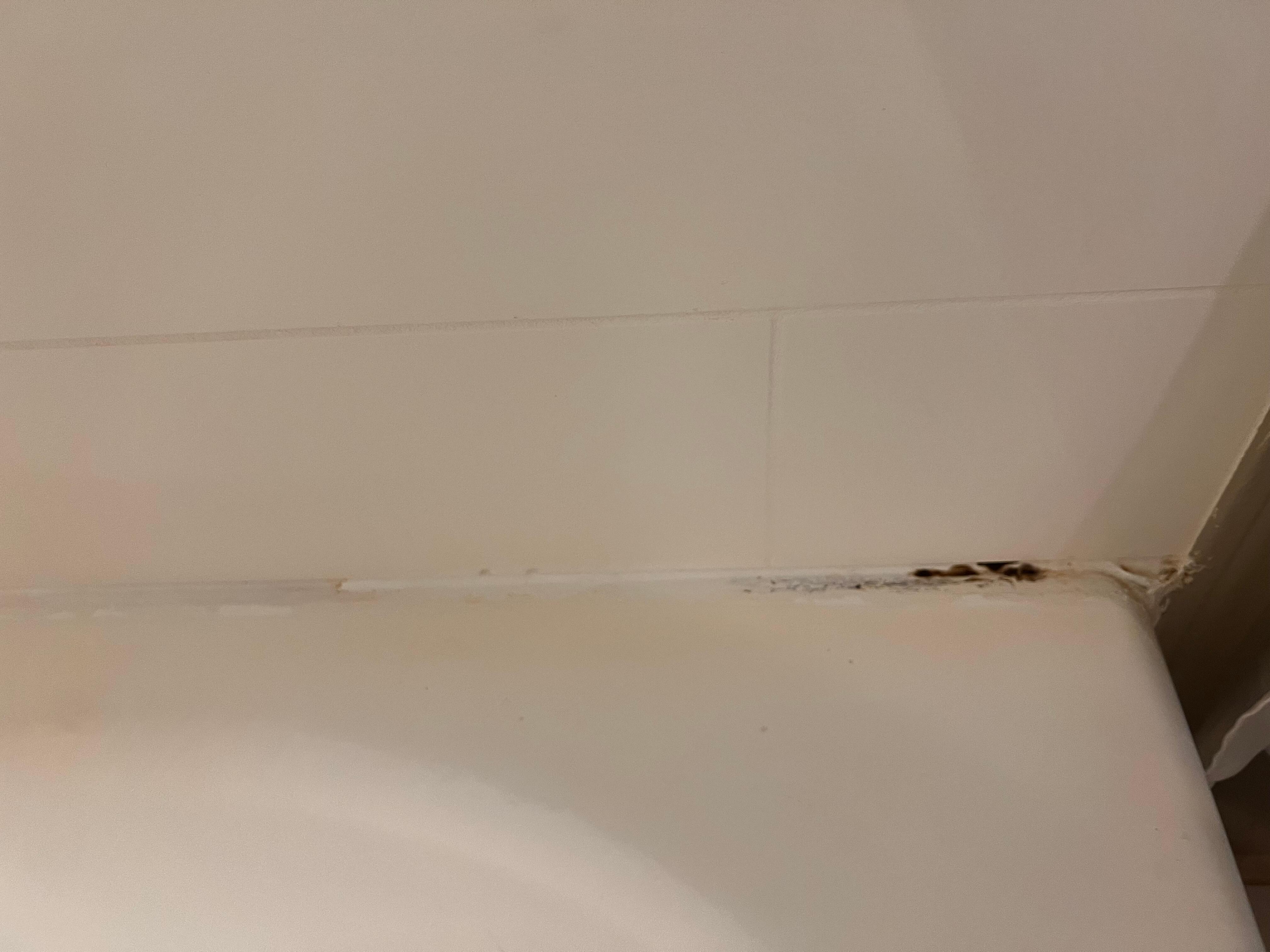 Mold