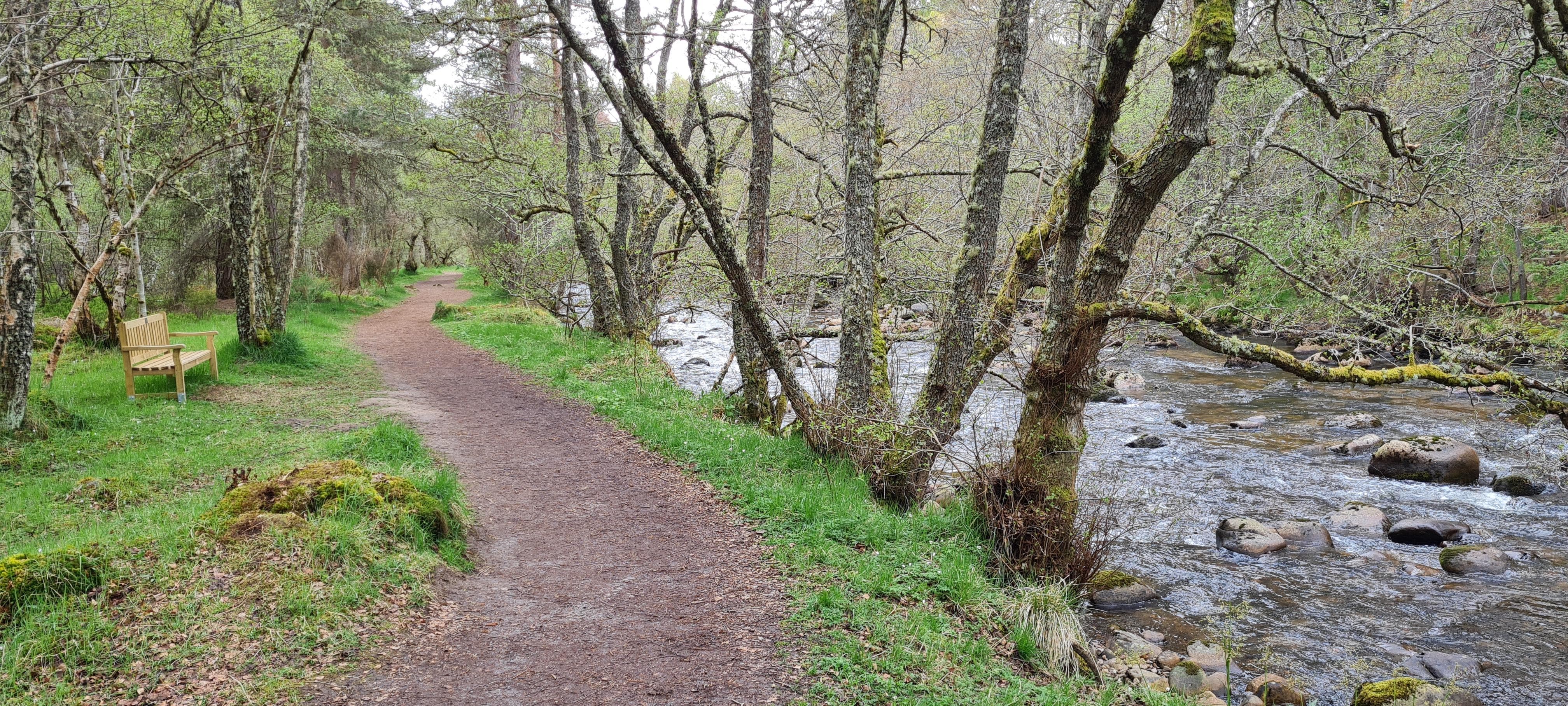 Nethy Bridge walk