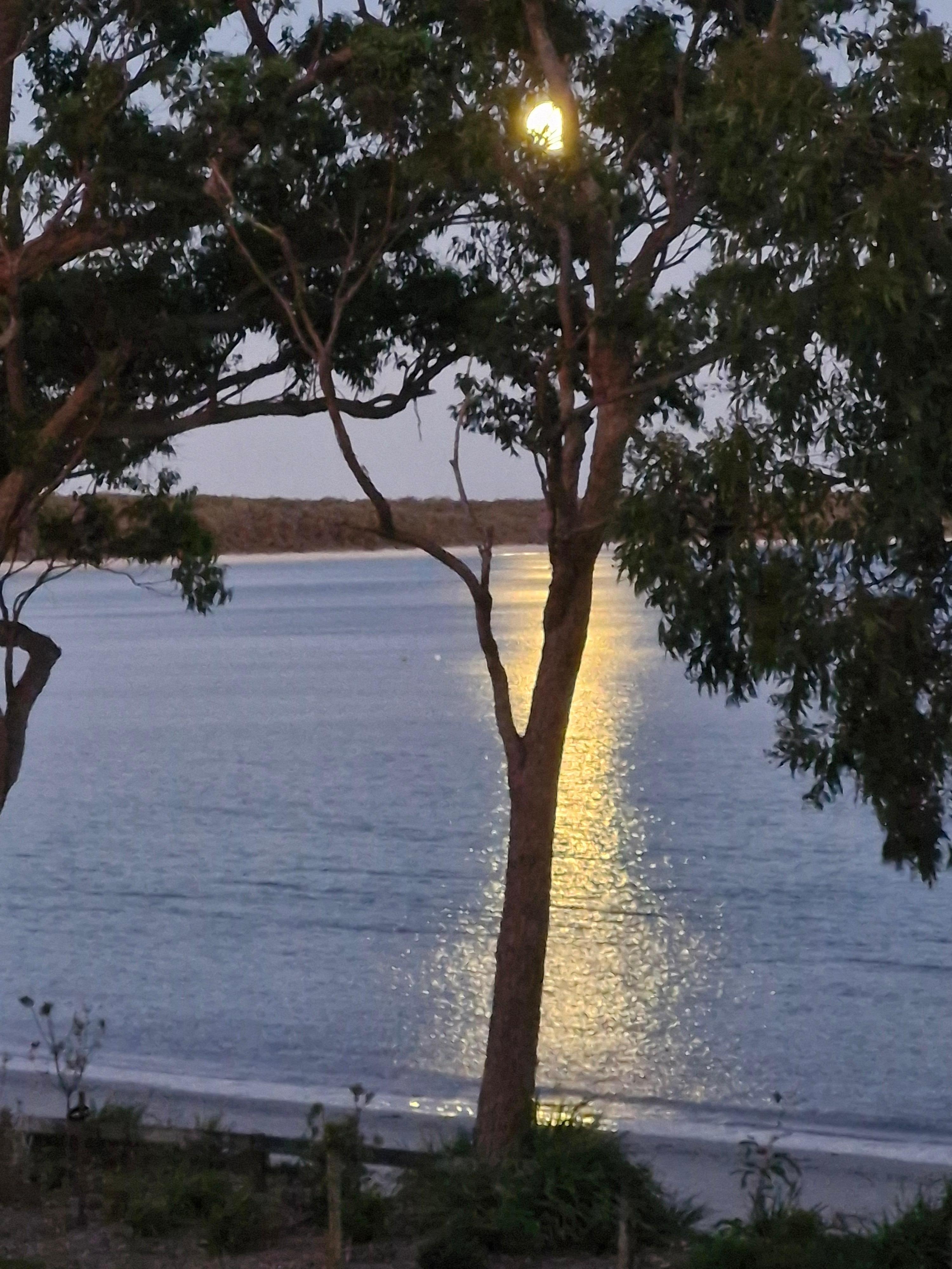 Moon over the water.