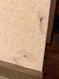 Mold painted over by bathroom sink; this is a small example there were more spots and the smell of mold was overwhelming.