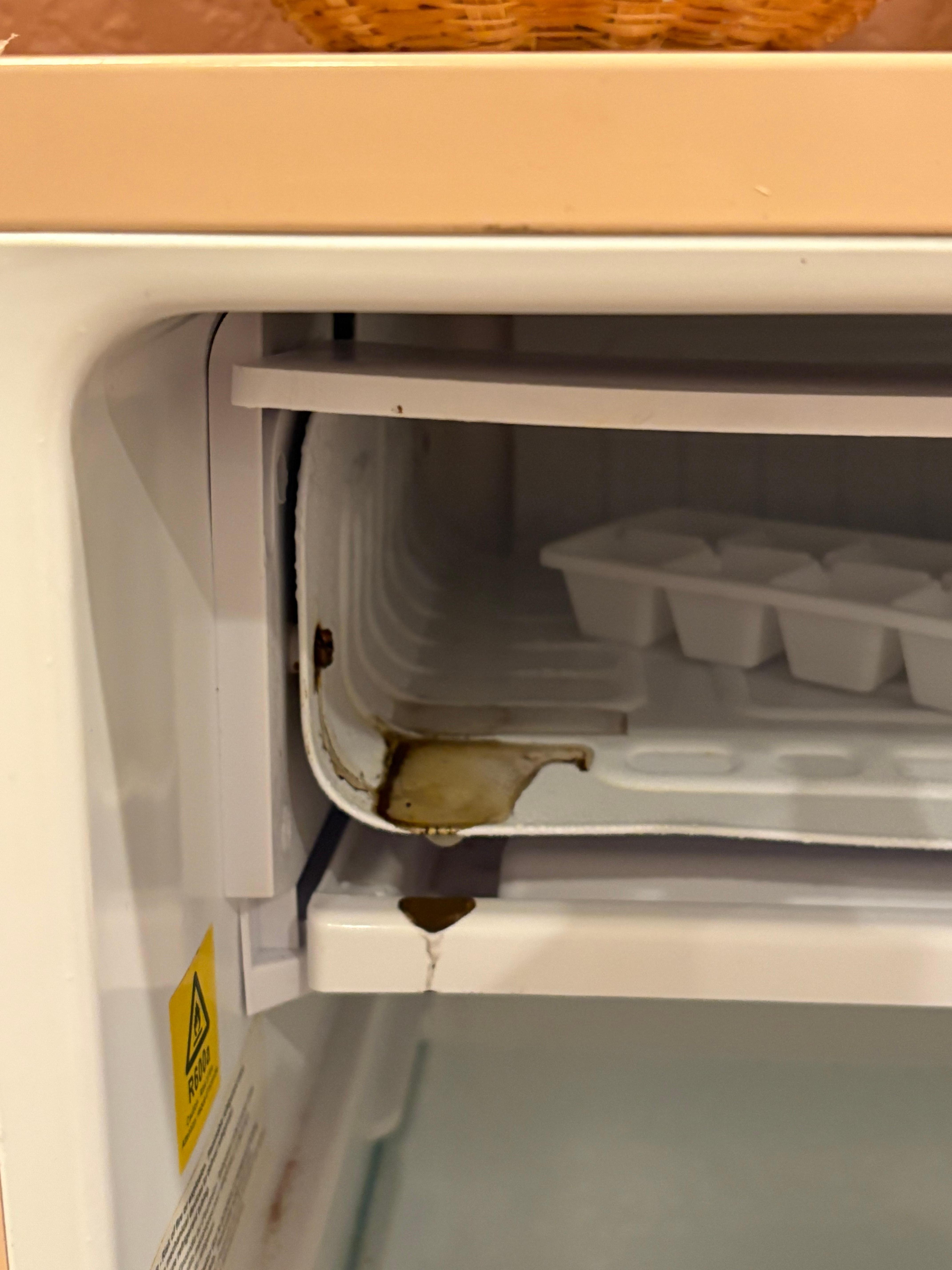 Pool of filth in the fridge