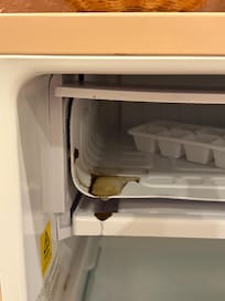 Pool of filth in the fridge