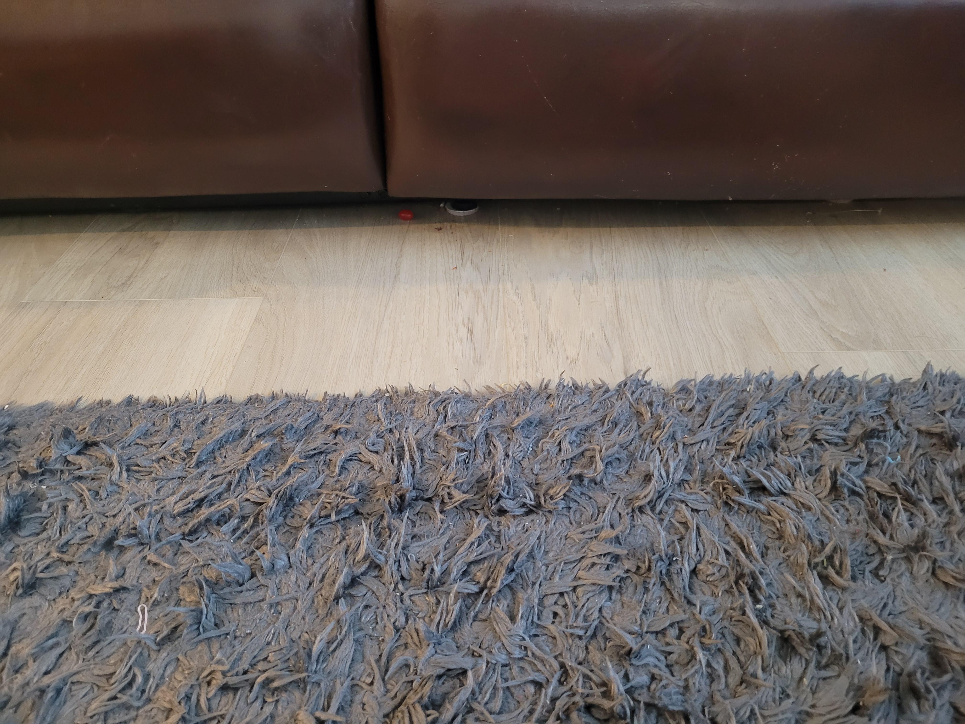 Jelly bean under chesterfield....