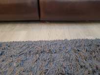 Jelly bean under chesterfield....