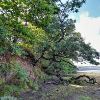 Lawrenny