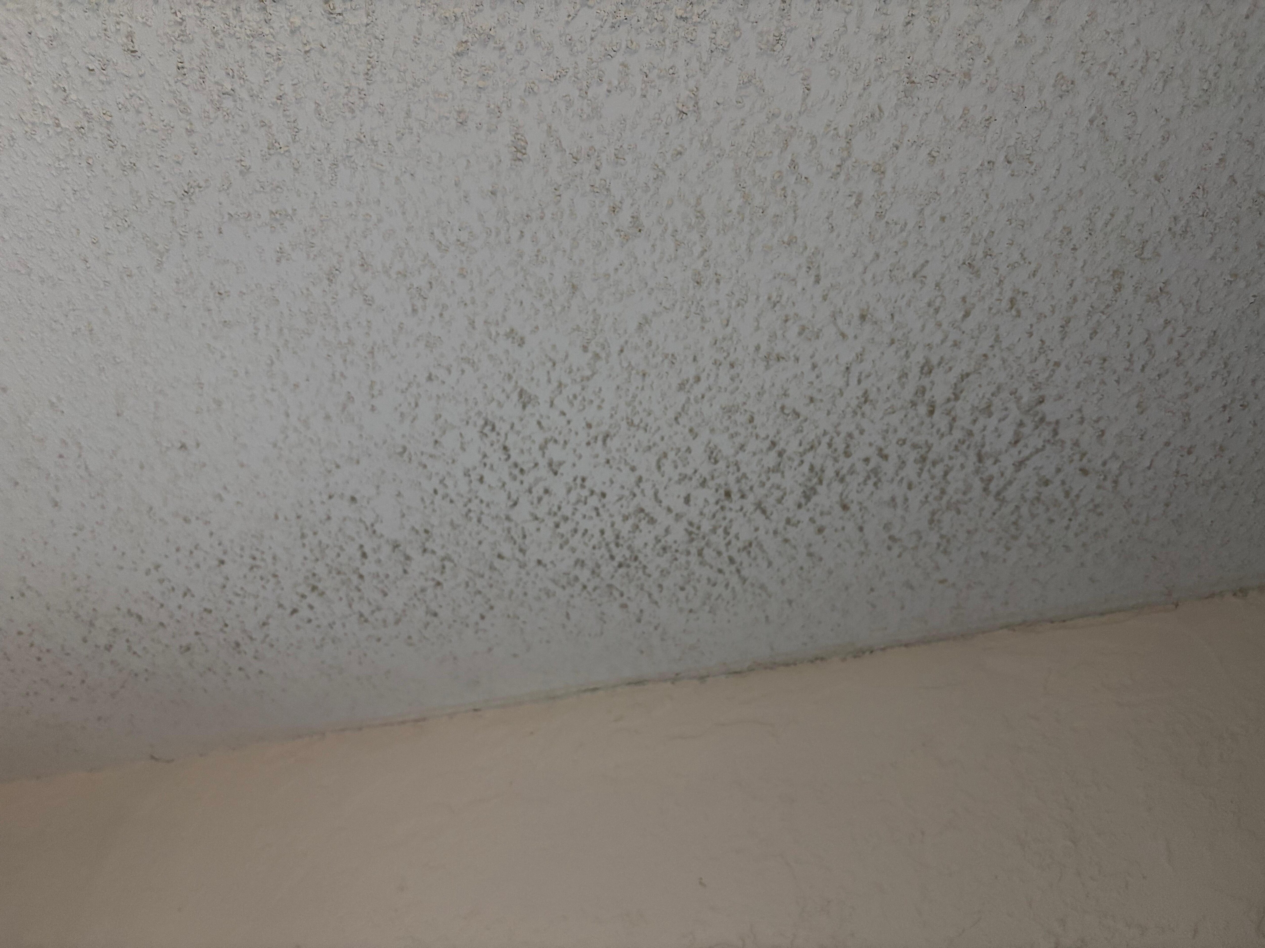 Ceiling in master bedroom.  Looks worse in person. 