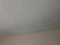 Ceiling in master bedroom. Looks worse in person.