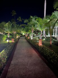 Immaculate landscaping