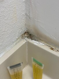 Needs a little paint