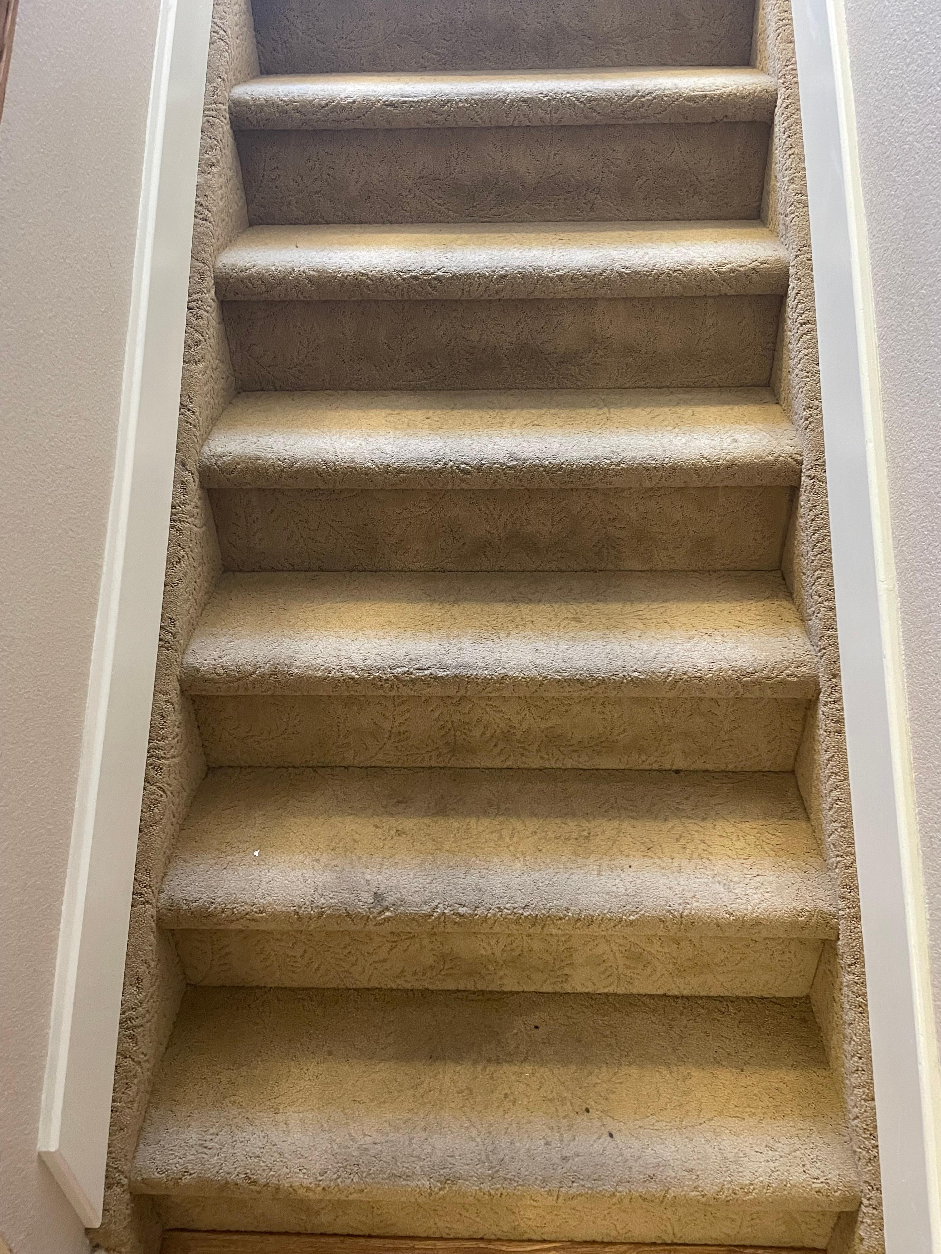 More filthy carpeting