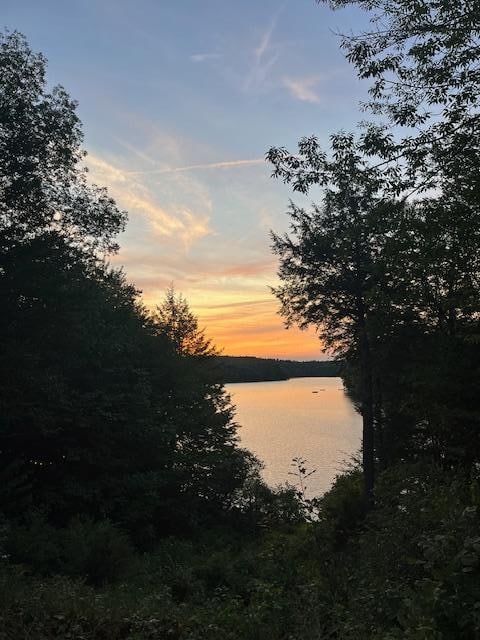 sunset from the neighborhood.