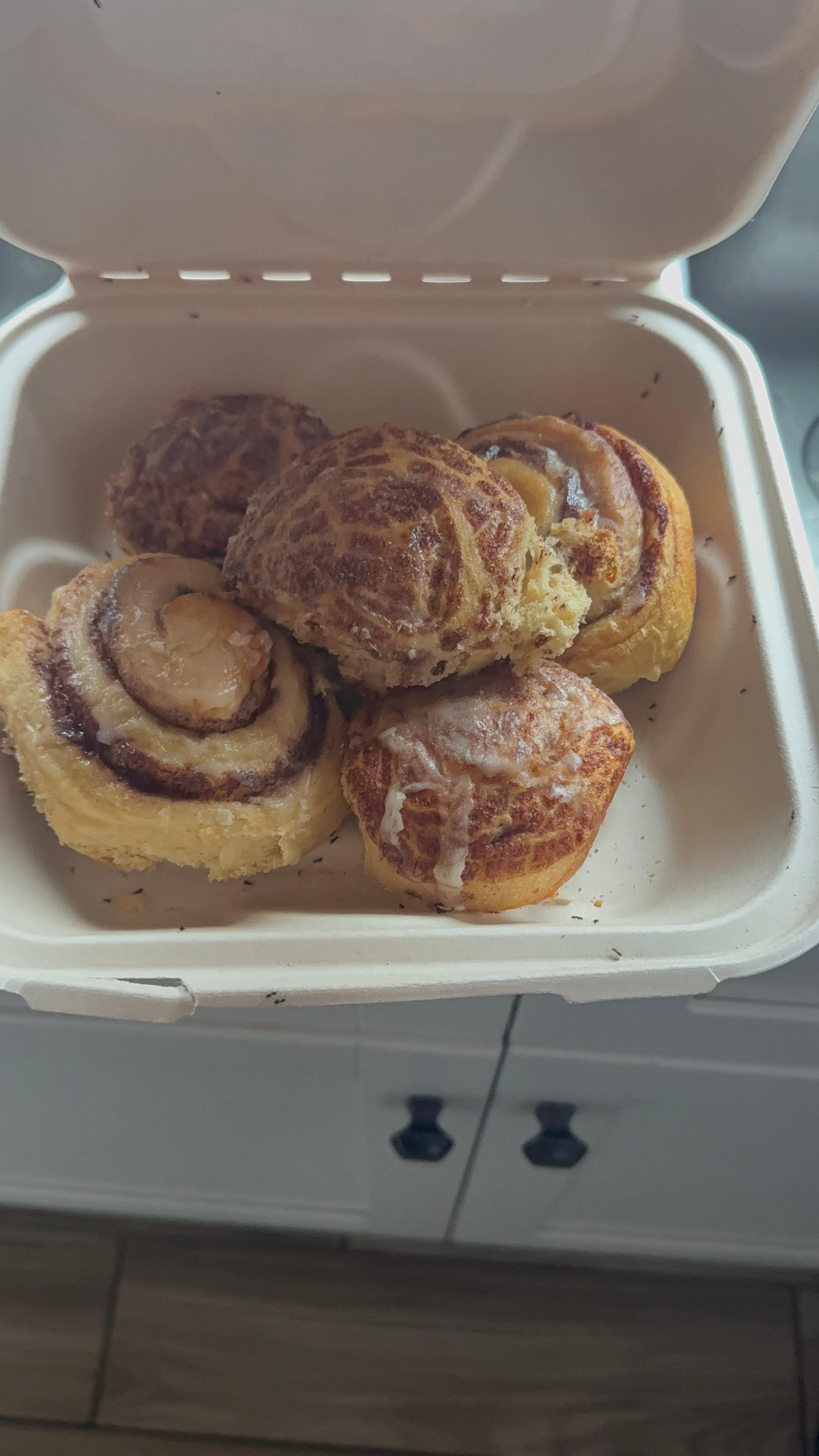 Ants in our food on the counter