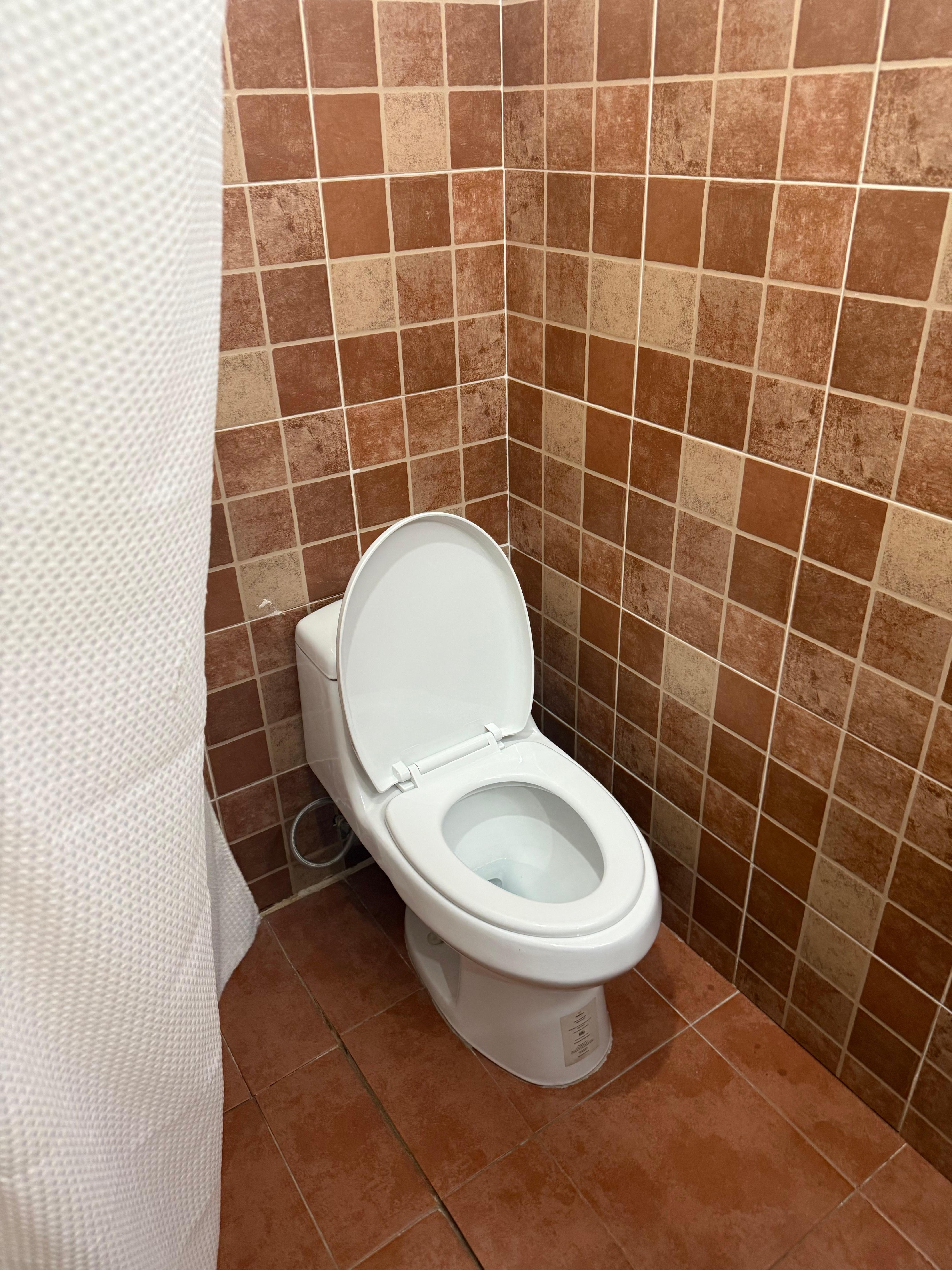 We threw our paper in the trash but I think it would’ve been fine to flush it 