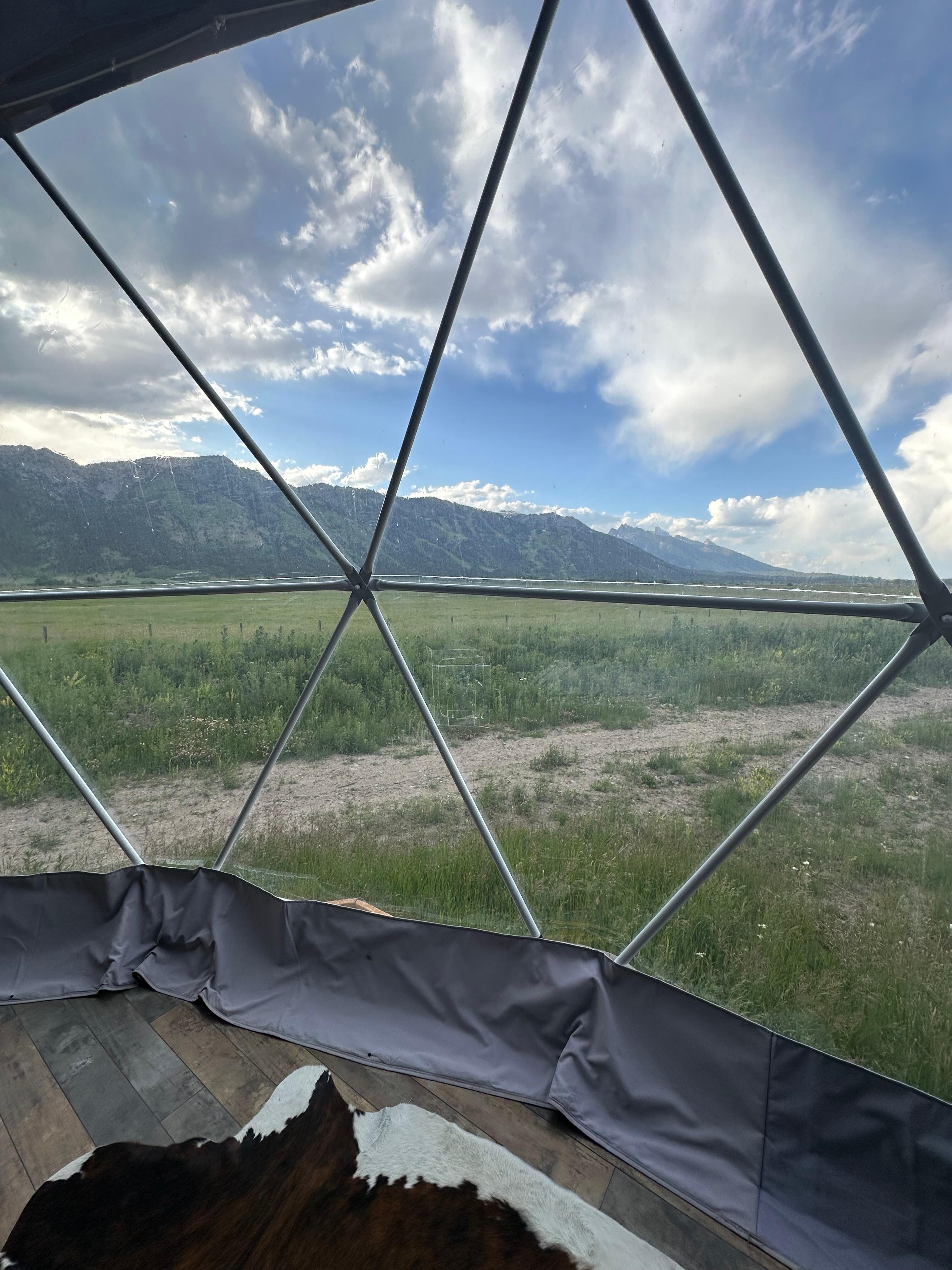 View from inside