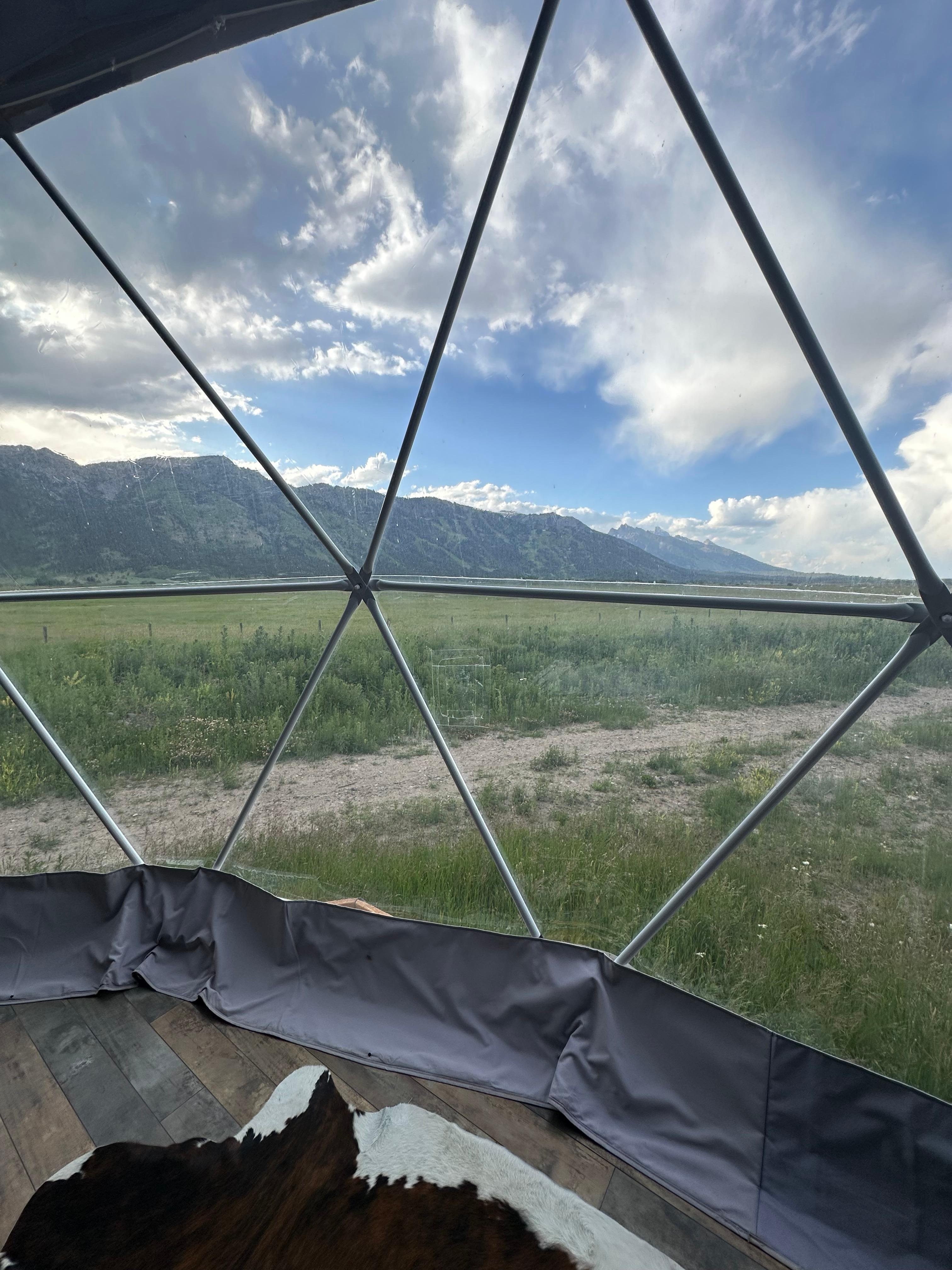 View from inside
