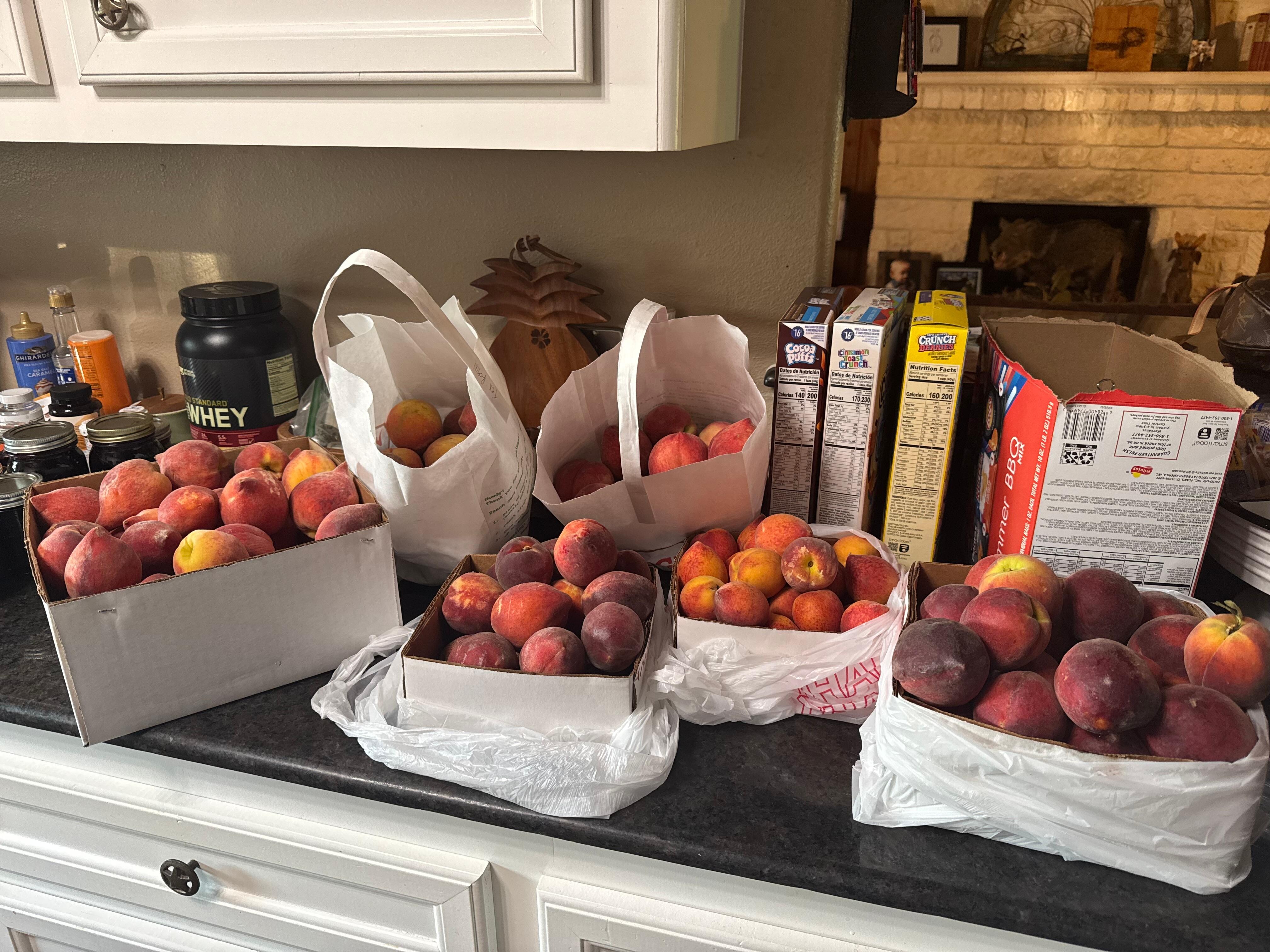 Six varieties of peaches - all fabulous!!