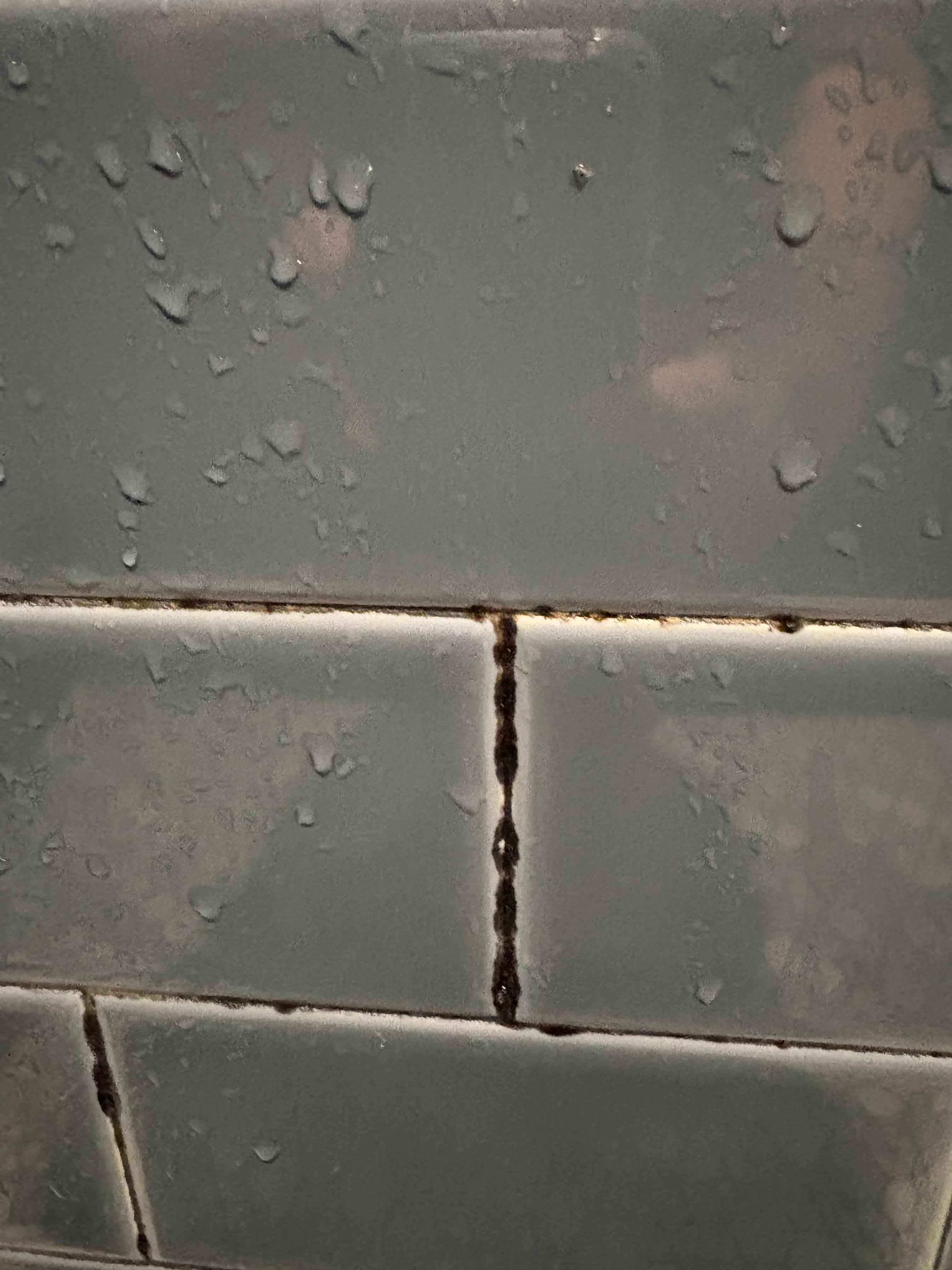 Mold in shower