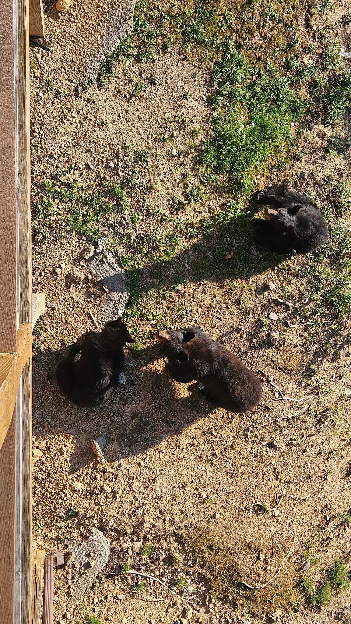 Relaxing in backyard 