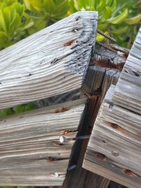 All handrails are too low due to adding new stairs over old stairs and NOT SAFE. What exists is years beyond needing replacement.