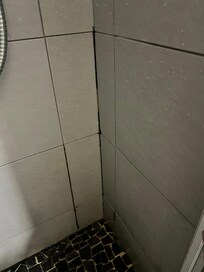 Mold in the shower