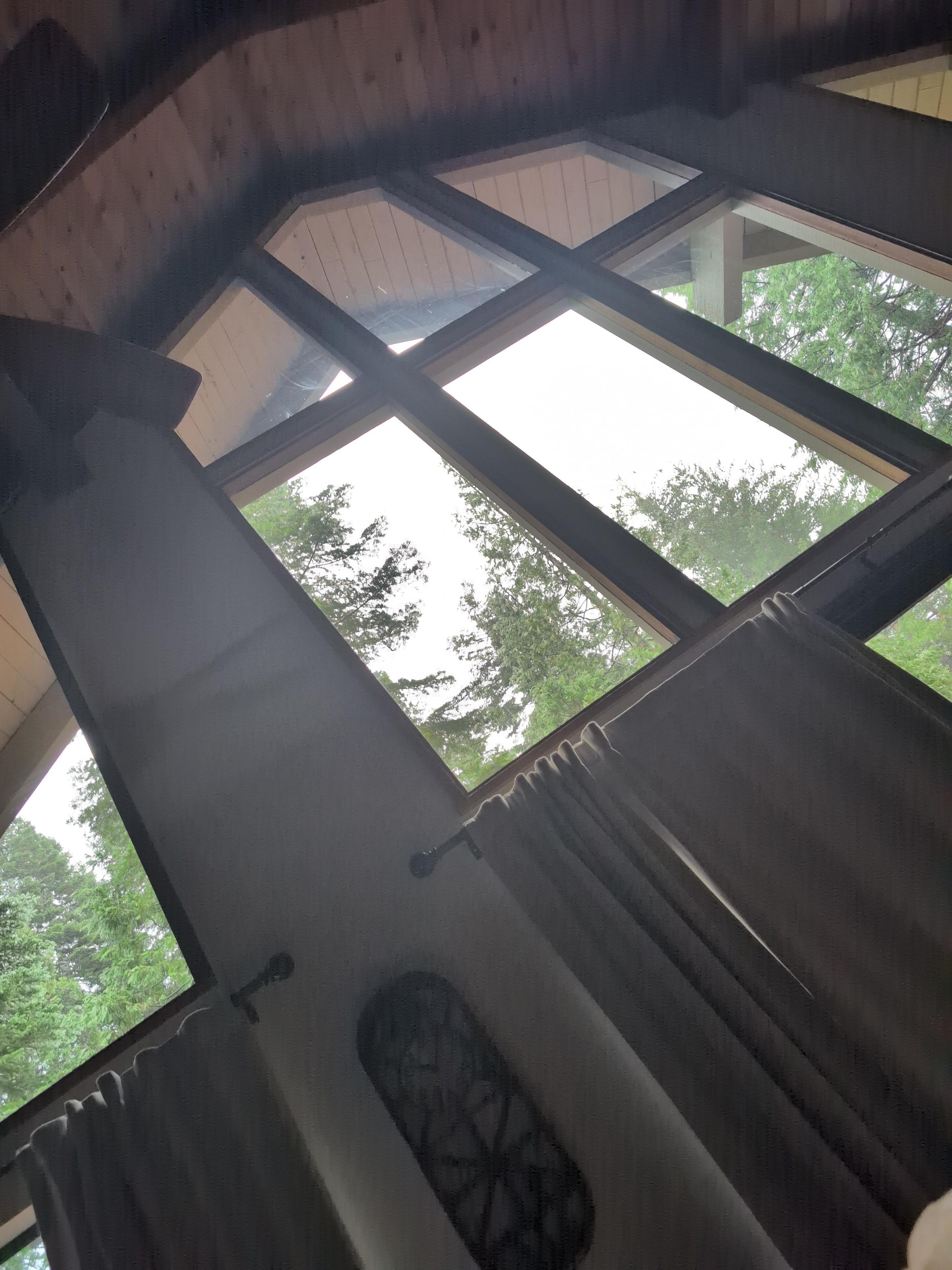 Tall windows and Forrest!