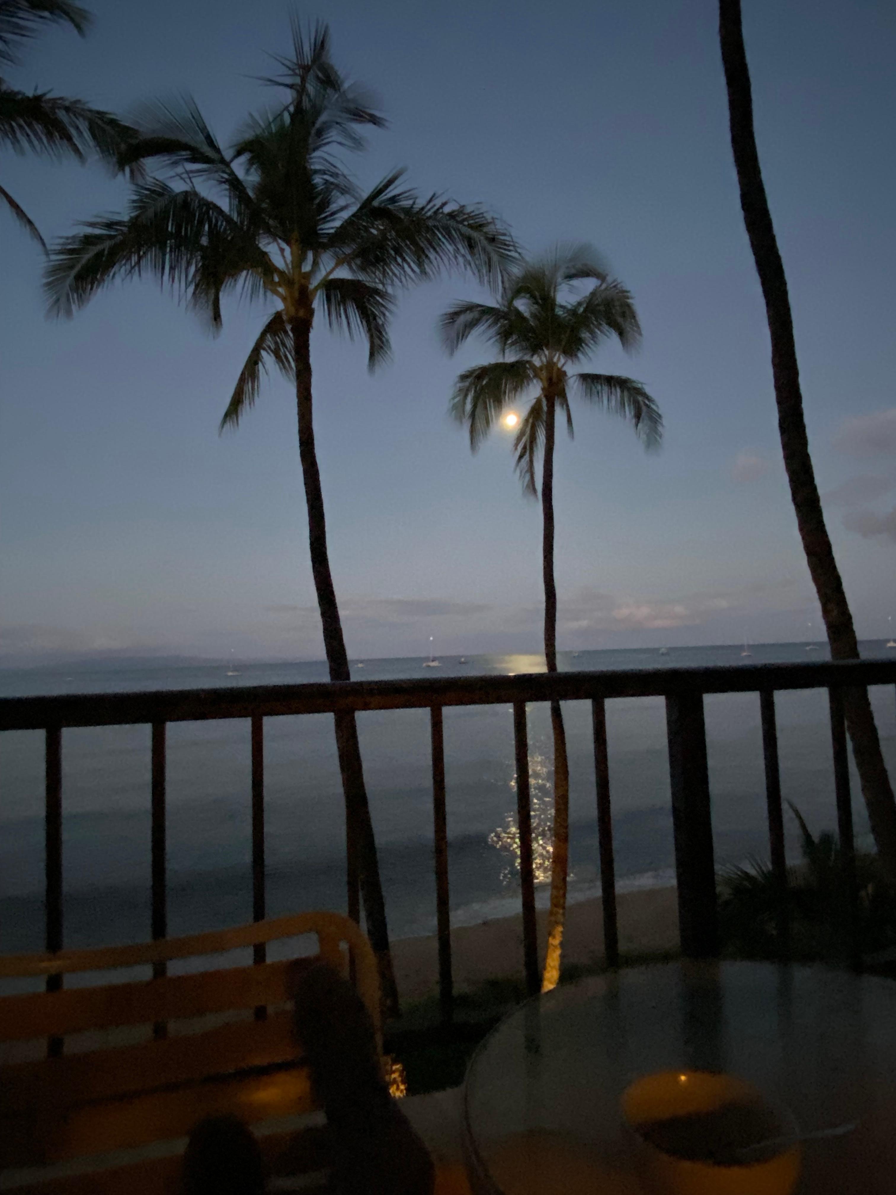 From balcony at 5:00 am 