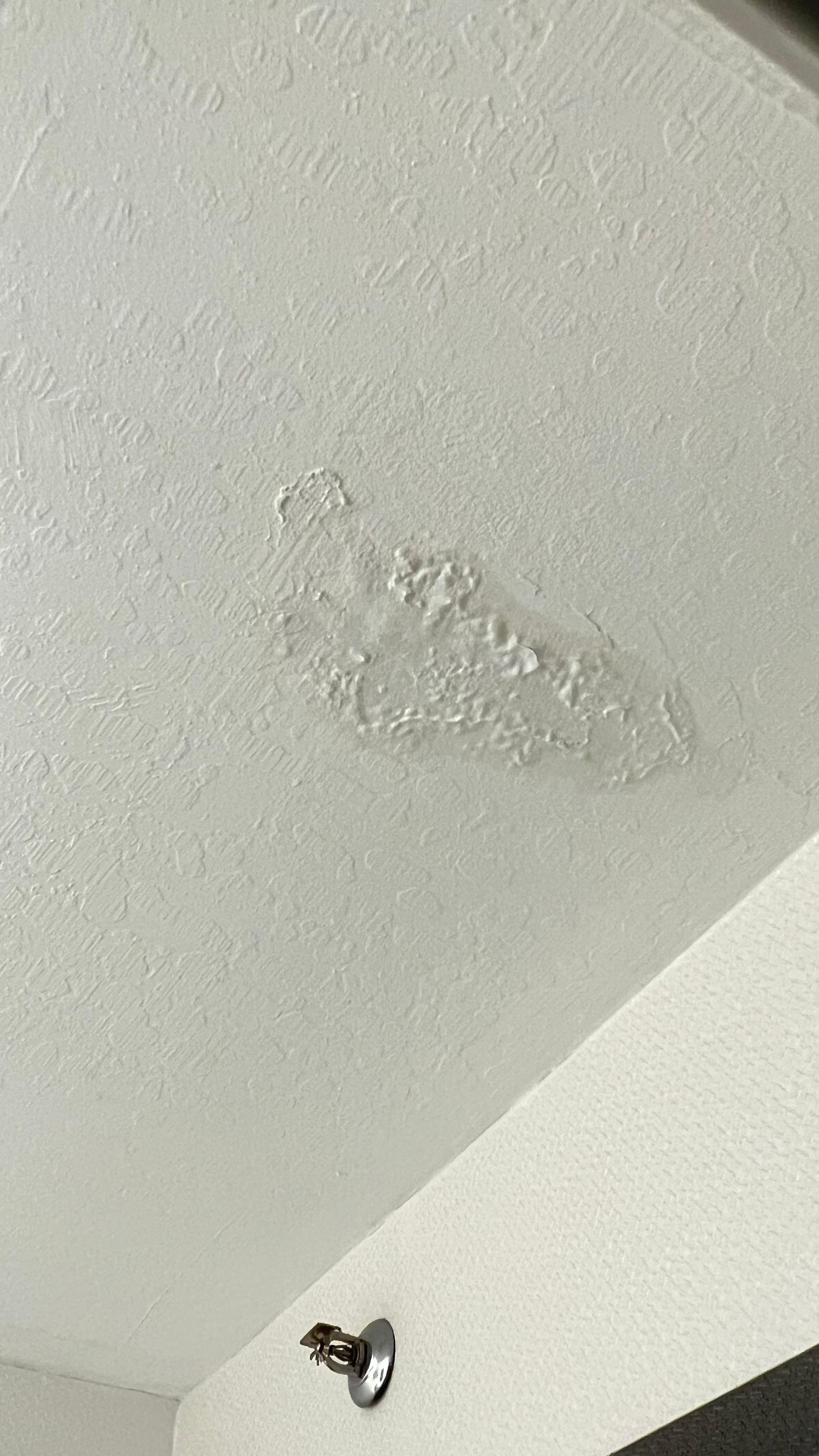 Roof leak in bathroom 