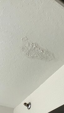 Roof leak in bathroom