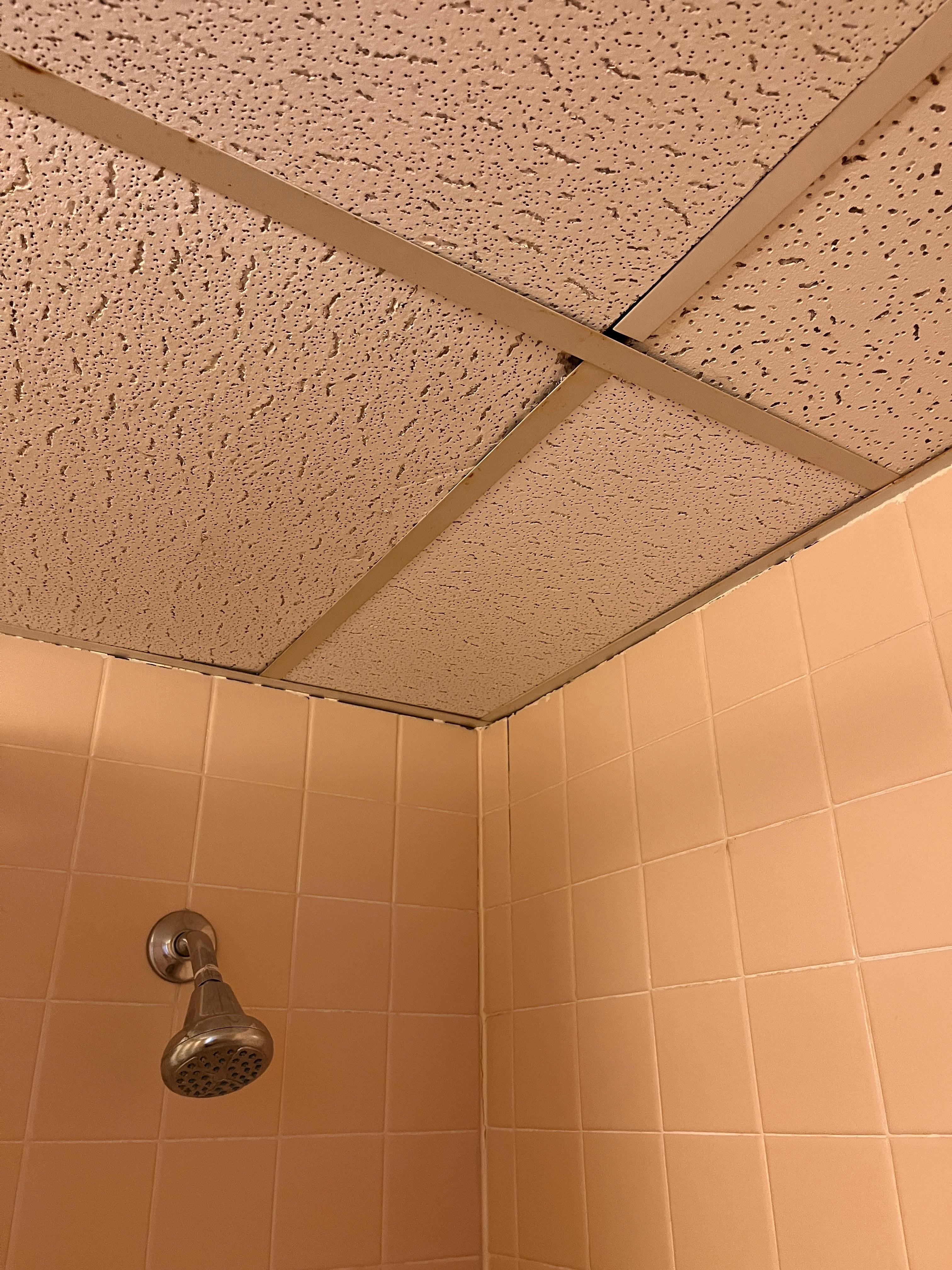 Chipped bathroom ceiling which left debris in my tub. 